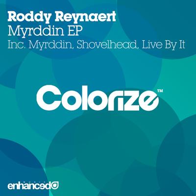 Myrddin (Original Mix)'s cover