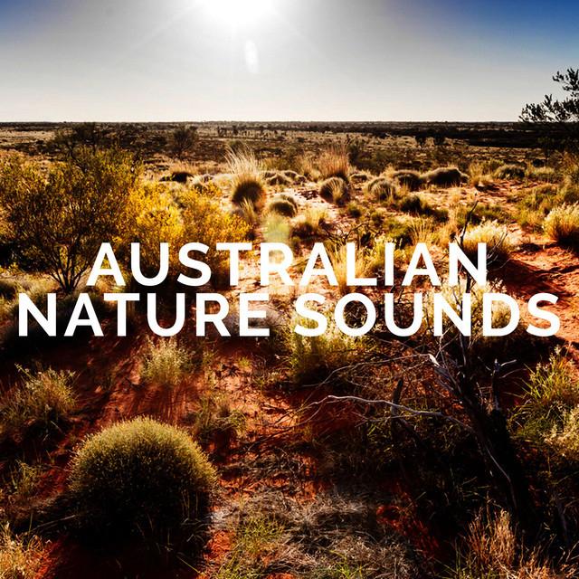 Australian Nature Sounds's avatar image