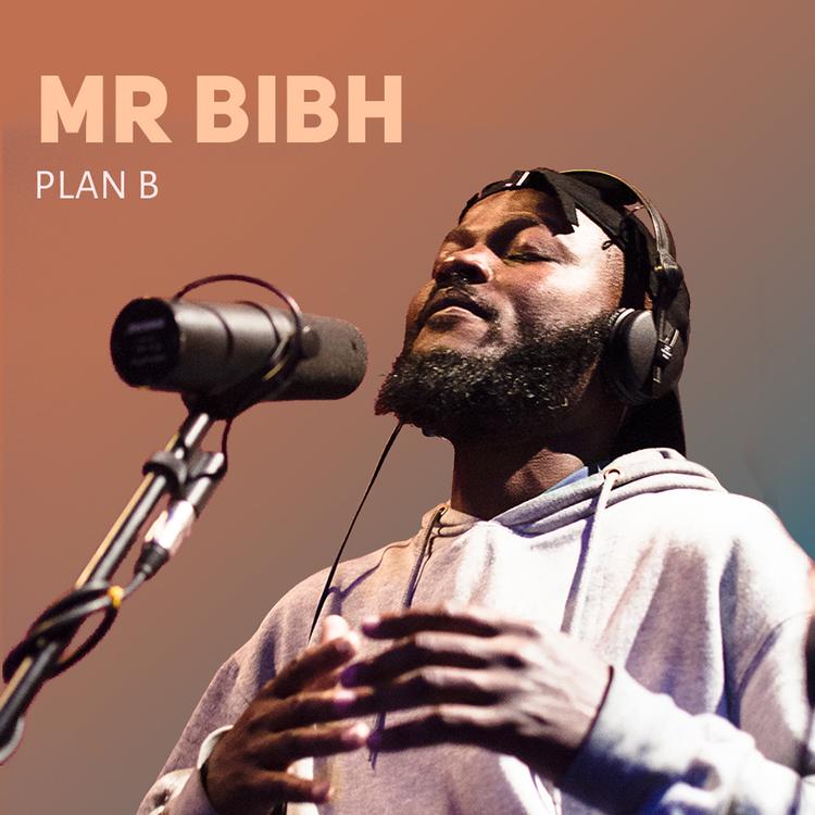 Mr Bibh's avatar image