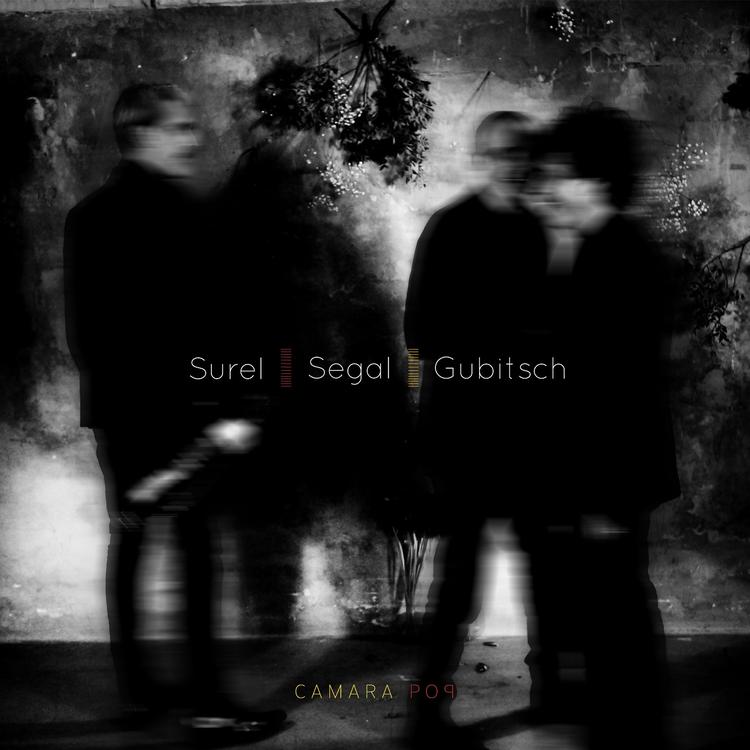 Surel Segal Gubitsch's avatar image