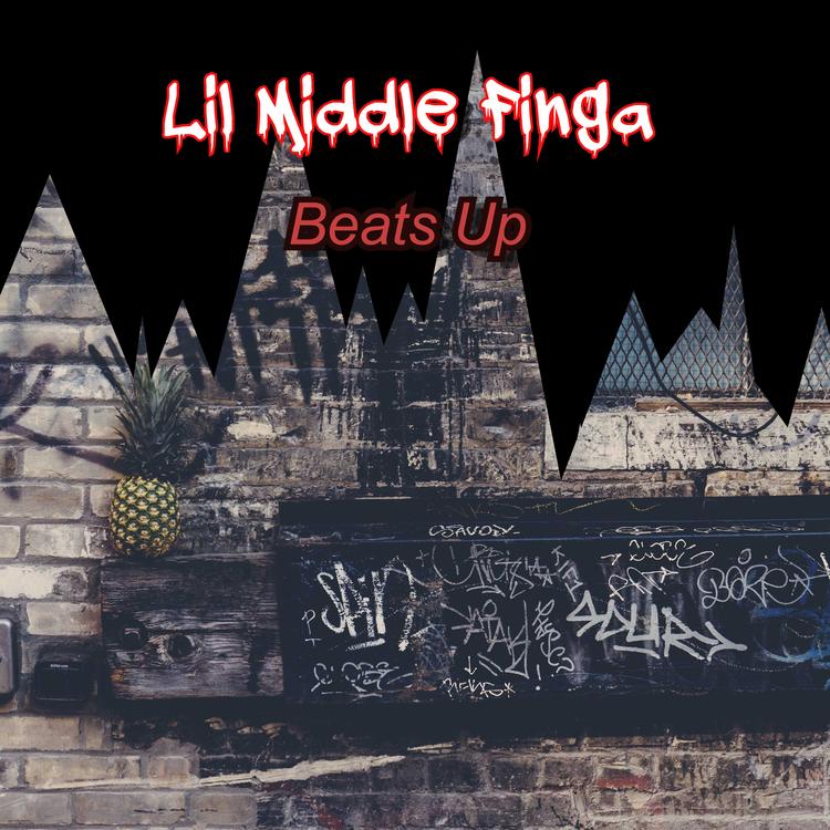 Lil Middle Finga's avatar image