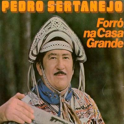 Forró na Casa Grande By Pedro Sertanejo's cover