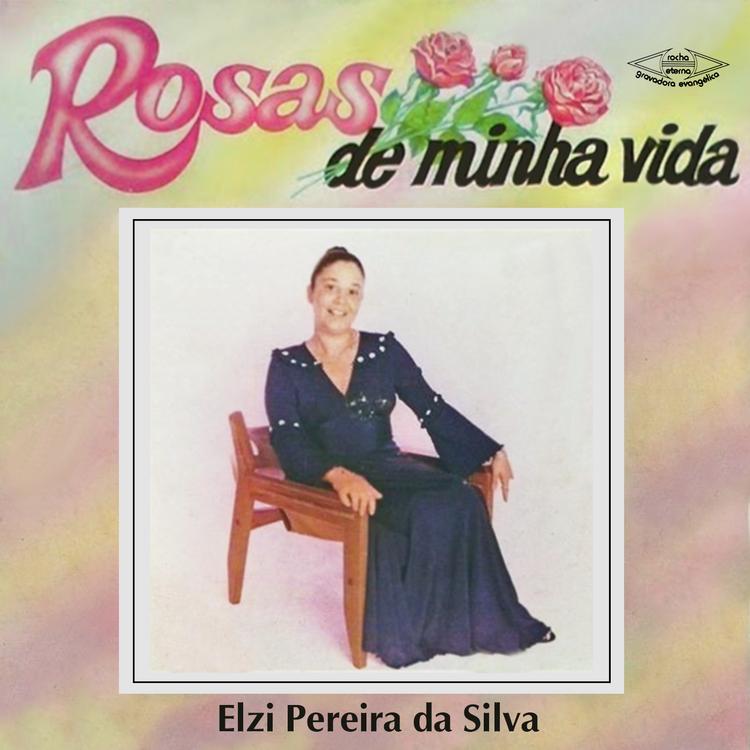 Elzi Pereira da Silva's avatar image
