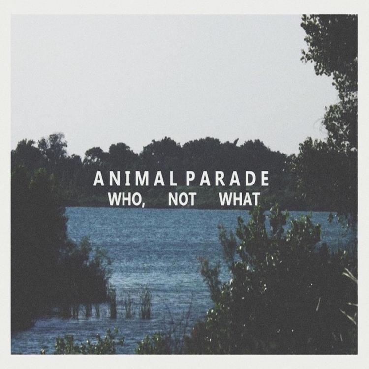 Animal Parade's avatar image