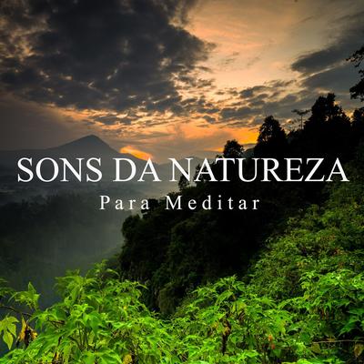 Sons da Natureza para Meditar, Pt. 17 By Meditação Música Ambiente's cover