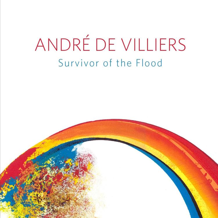 Andre De Villiers's avatar image