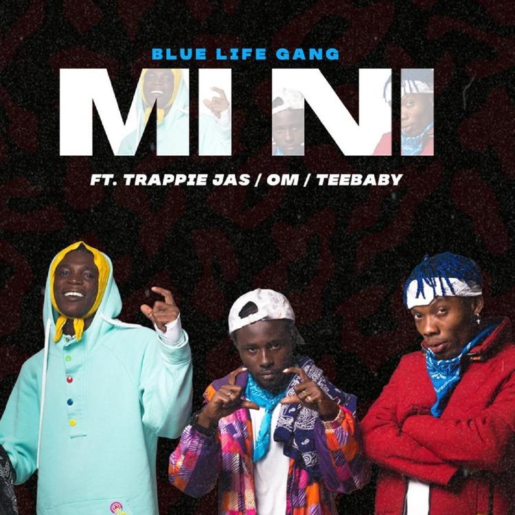 blue life gang's avatar image