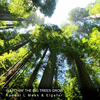 Watchin' the Big Trees Grow By Randal L Meek, Elgafar's cover