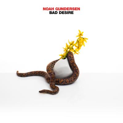 BAD DESIRE By Noah Gundersen's cover