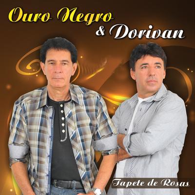 A Vontade Passa (Ao Vivo) By Ouro Negro & Dorivan's cover