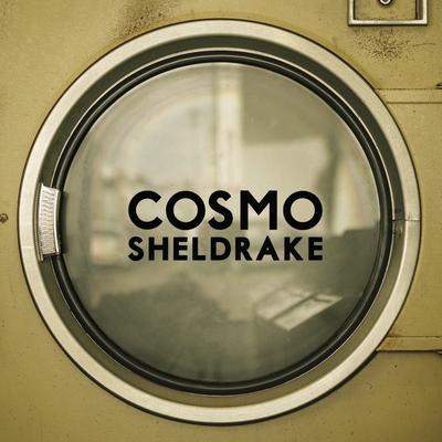 The Moss By Cosmo Sheldrake's cover
