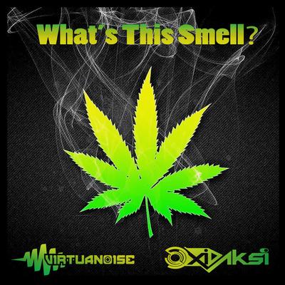 What's this smell? By Virtuanoise, Oxidaksi's cover