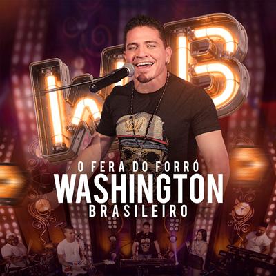 Foi Bom Reencontrar Você By Washington Brasileiro's cover