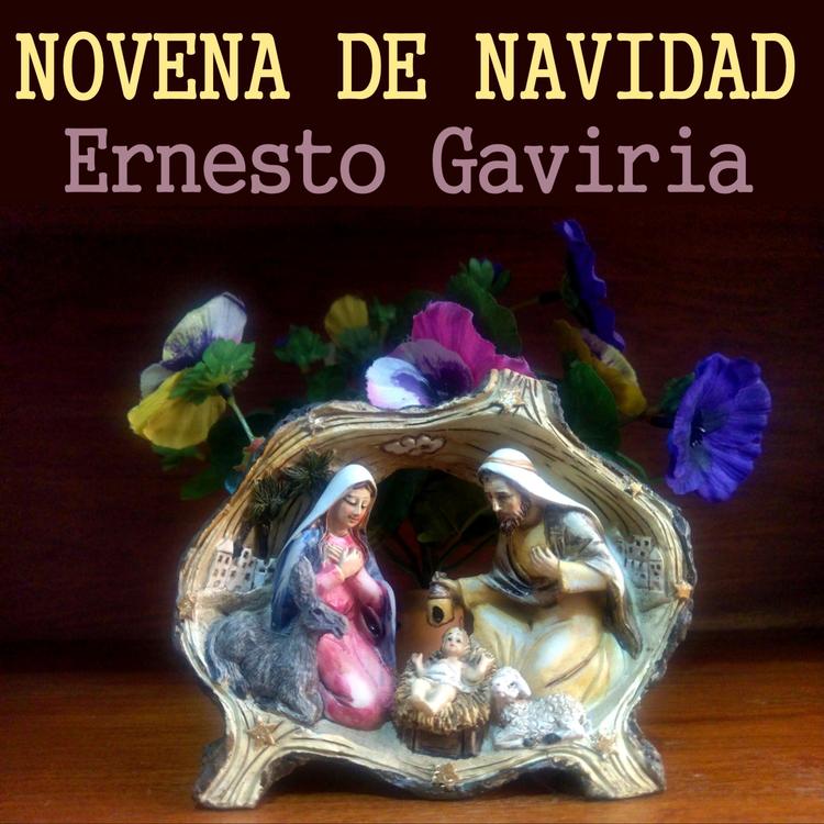 Ernesto Gaviria's avatar image