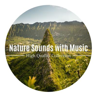 Nature Sounds with Music: High Quality Collection's cover