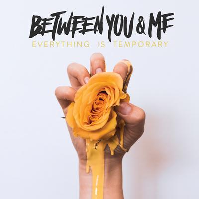 Twice Shy By Between You & Me's cover