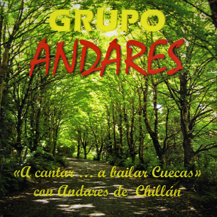 Andares de Chillan's avatar image