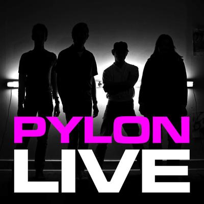 Cool (Live) By PYLON's cover