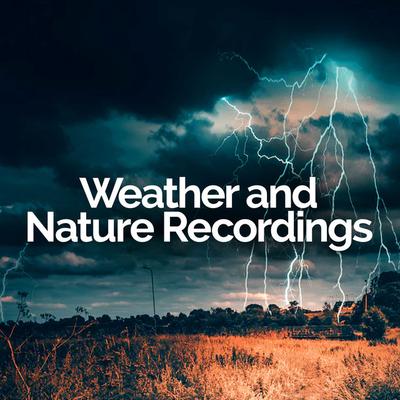 Weather and Nature Recordings's cover