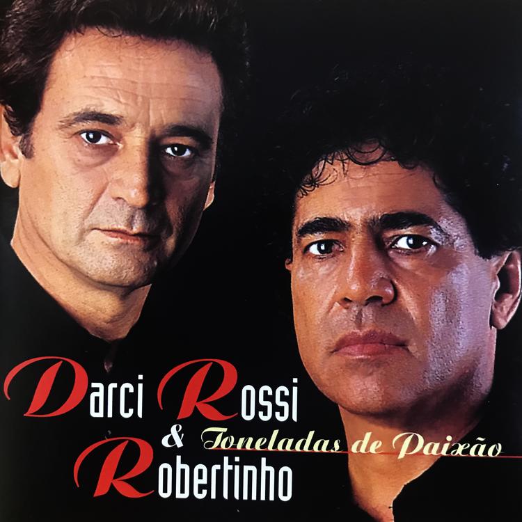 Darci Rossi & Robertinho's avatar image