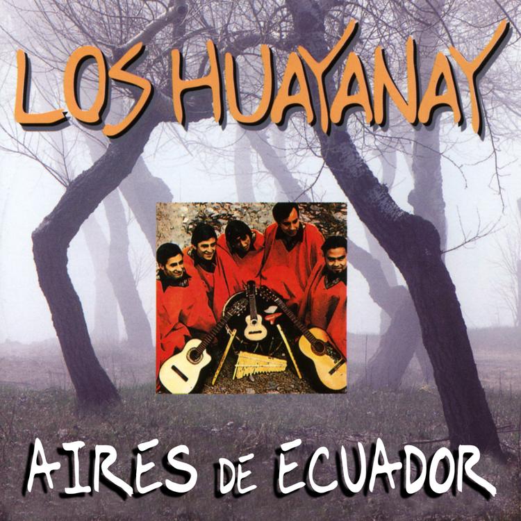 Los Huayanay's avatar image