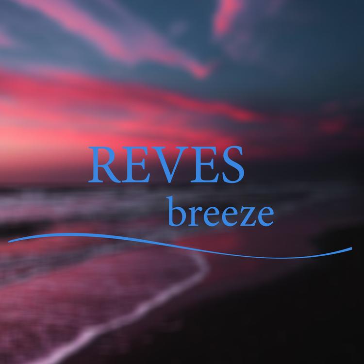 REVES's avatar image