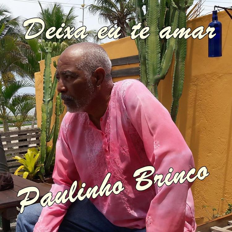 Paulinho Brinco's avatar image