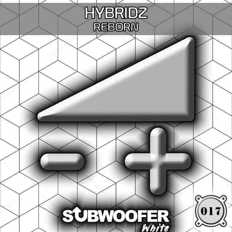 Hybridz (IT)'s avatar image