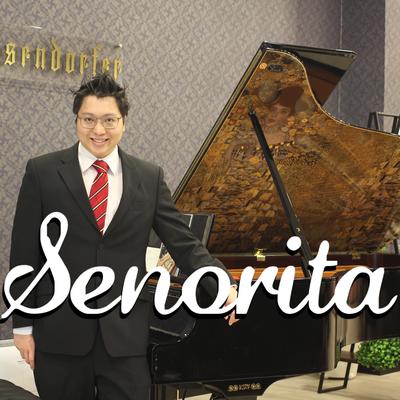 Senorita (Piano Version) By Ray Mak's cover