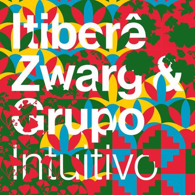 Itiberê Zwarg's cover