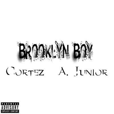Brooklyn Boy's cover
