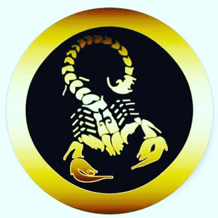 DJ Scorpion's avatar image