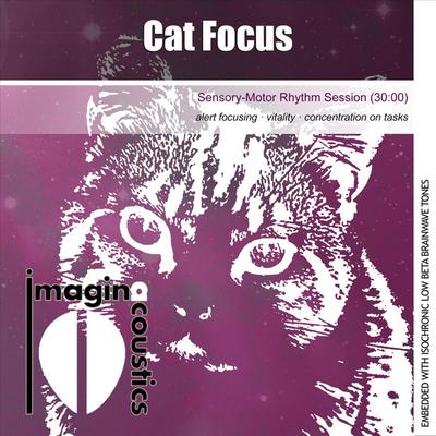 Cat Focus (Sensory-Motor Rhythm Session) By Imaginacoustics's cover