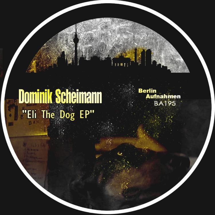 Dominik Scheimann's avatar image