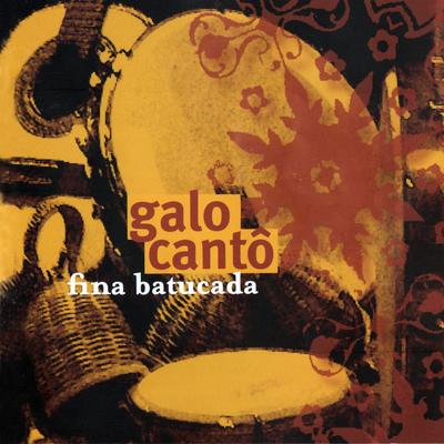 Fina Batucada's cover
