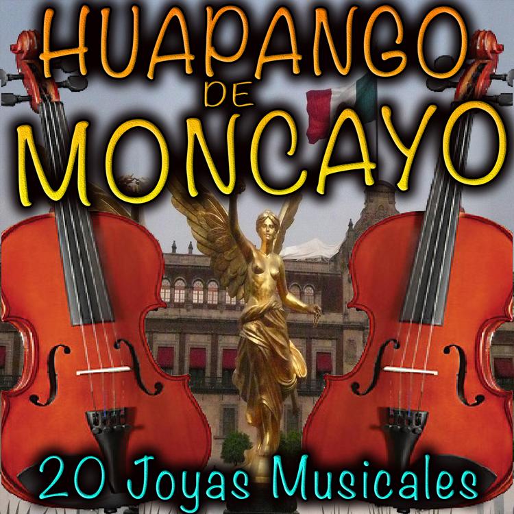 Huapango de Moncayo's avatar image