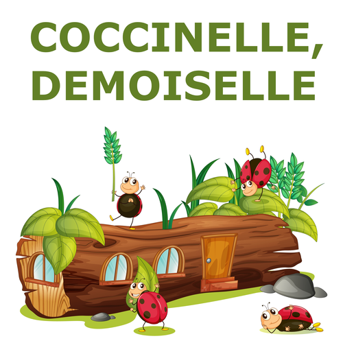 Coccinelle demoiselle Official TikTok Music album by Coccinelle