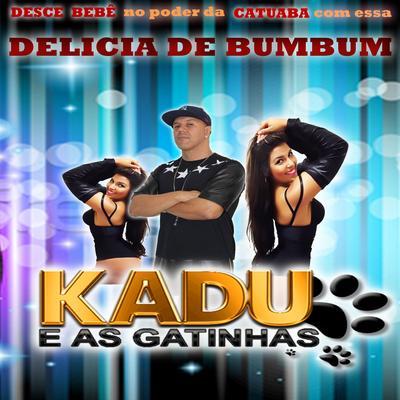 Despedida de Solteiro (Remix) By Kadu e as Gatinhas's cover
