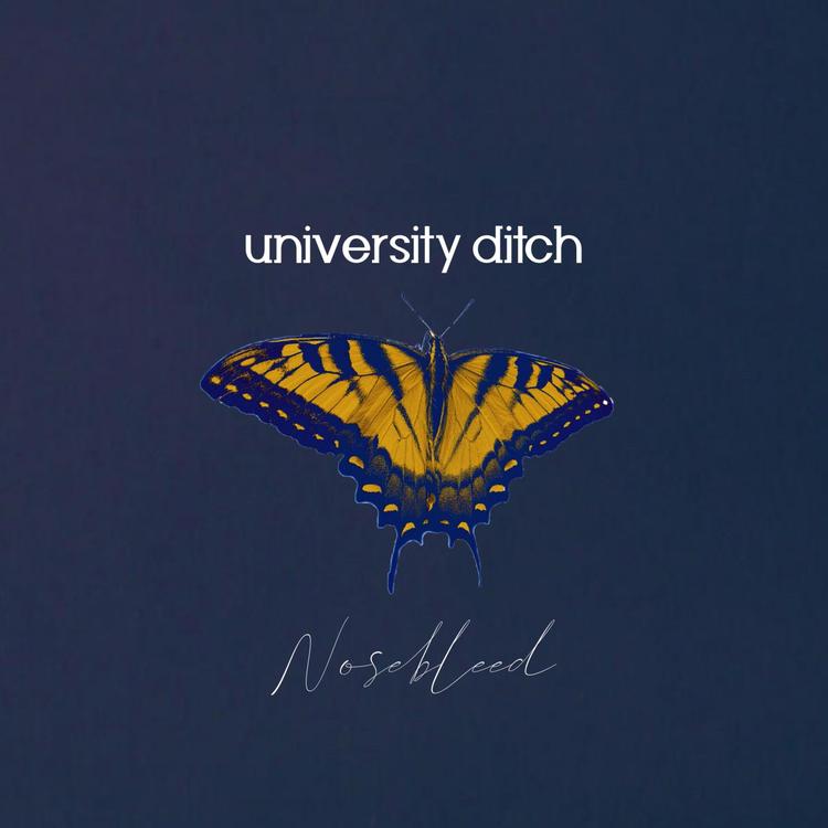 university ditch's avatar image