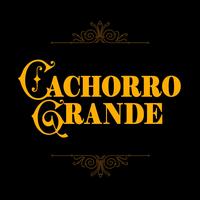 Cachorro Grande's avatar cover