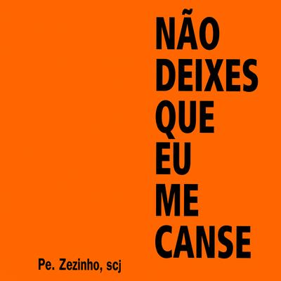 Dizem Que É Saudade By Pe. Zezinho, SCJ's cover