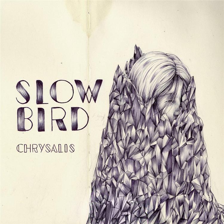 Slow Bird's avatar image