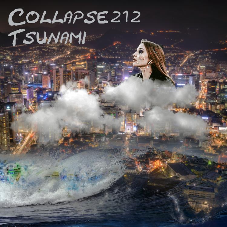 Collapse212's avatar image