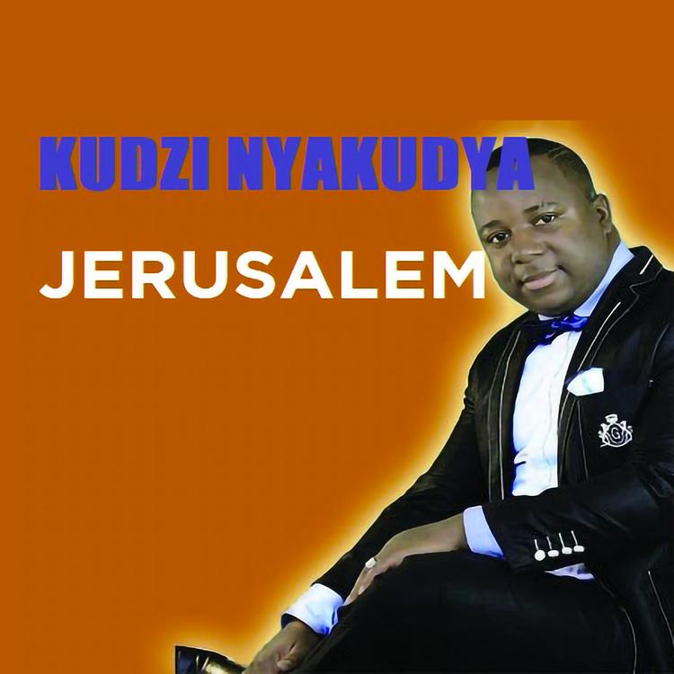 Kudzie NyaKudya's avatar image