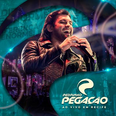 Amiga Parceira (Ao Vivo) By Pedrinho Pegação's cover