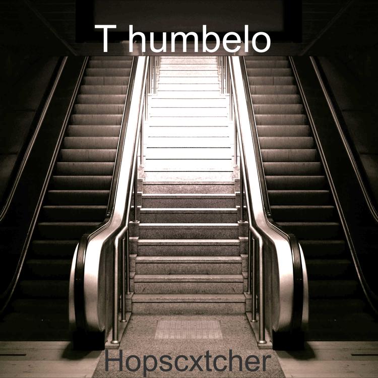 T humbelo's avatar image