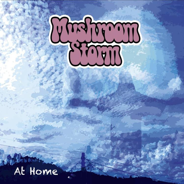 Mushroom Storm's avatar image