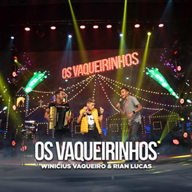 Winicius Vaqueiro's avatar image