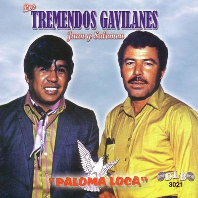 Dos Hojas Sin Rumbo By Los Tremendos Gavilanes's cover