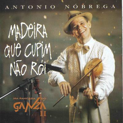 Madeira Que Cupim Não Rói By Antonio Nobrega's cover